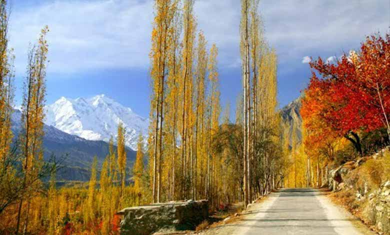 معرفی بهترین تورهای مسافرتی پاییز 1404